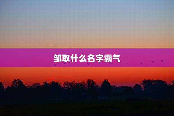 邹取什么名字霸气