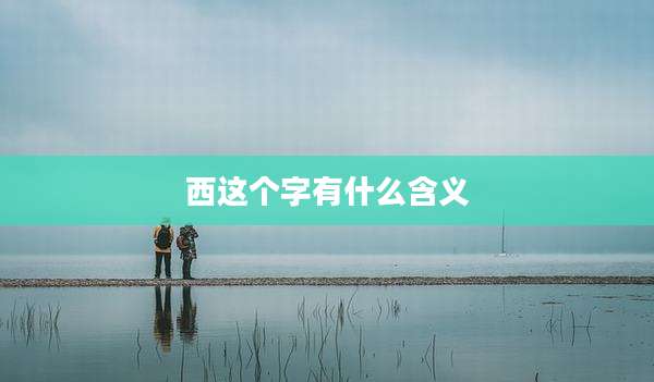 西这个字有什么含义