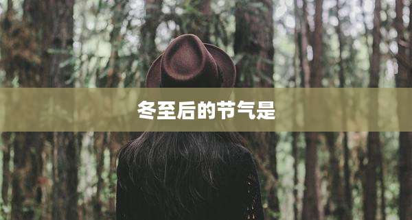 冬至后的节气是
