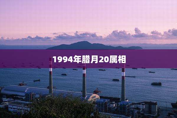 1994年腊月20属相