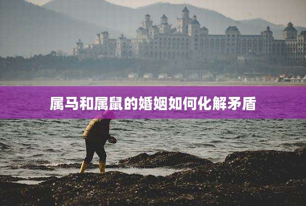 属马和属鼠的婚姻如何化解矛盾