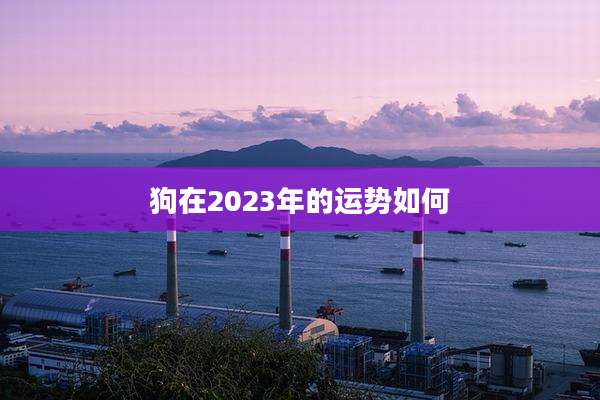 狗在2023年的运势如何