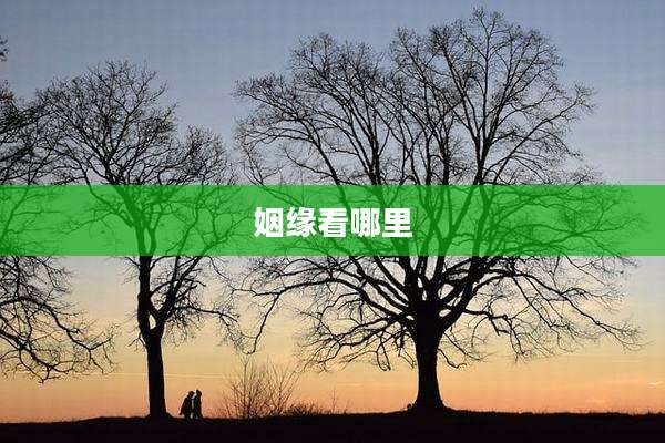 姻缘看哪里