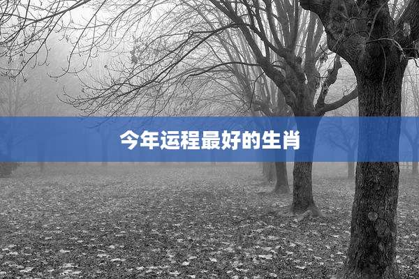 今年运程最好的生肖