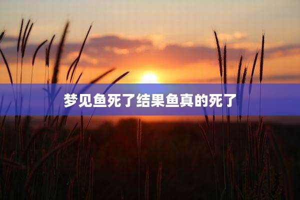 梦见鱼死了结果鱼真的死了
