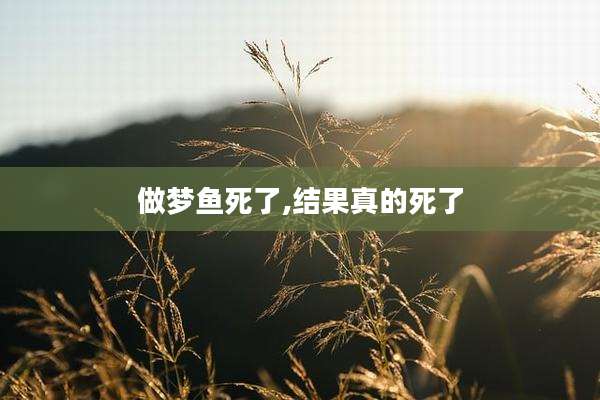 做梦鱼死了,结果真的死了