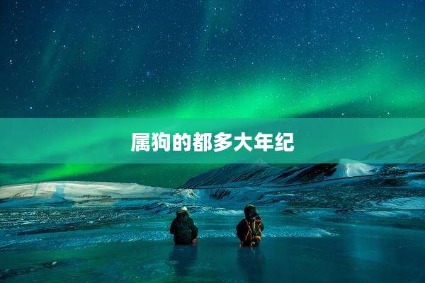 属狗的都多大年纪