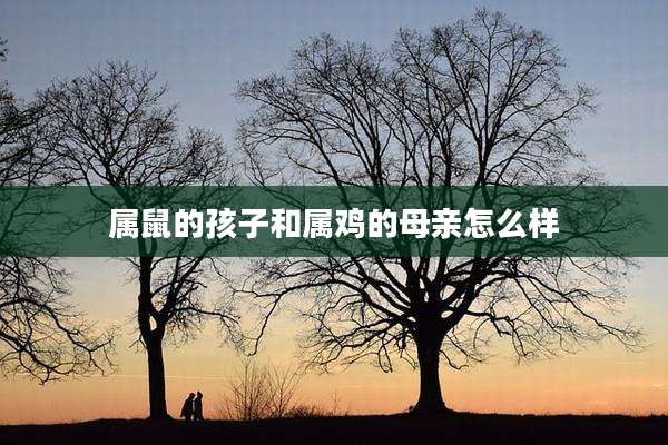 属鼠的孩子和属鸡的母亲怎么样