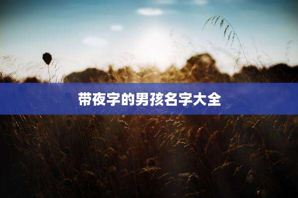 带夜字的男孩名字大全