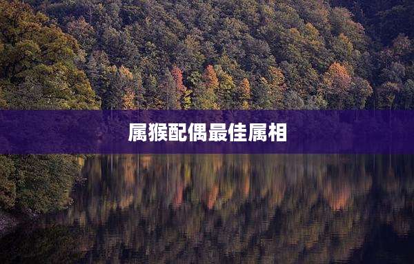 属猴配偶最佳属相