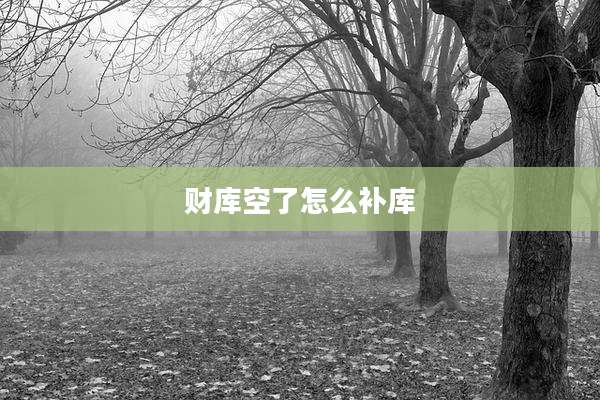 财库空了怎么补库