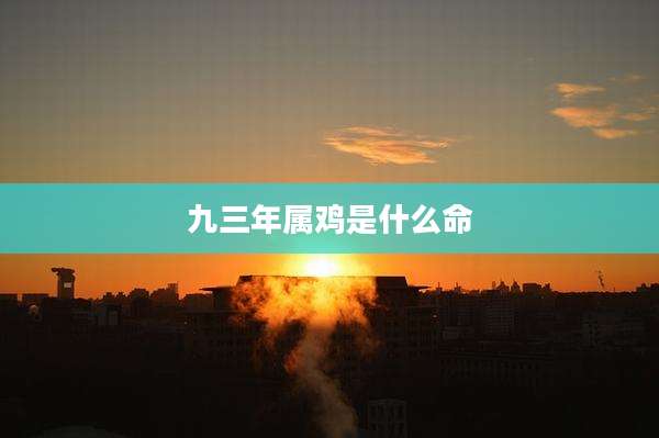 九三年属鸡是什么命