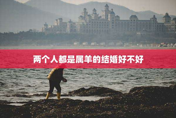 两个人都是属羊的结婚好不好