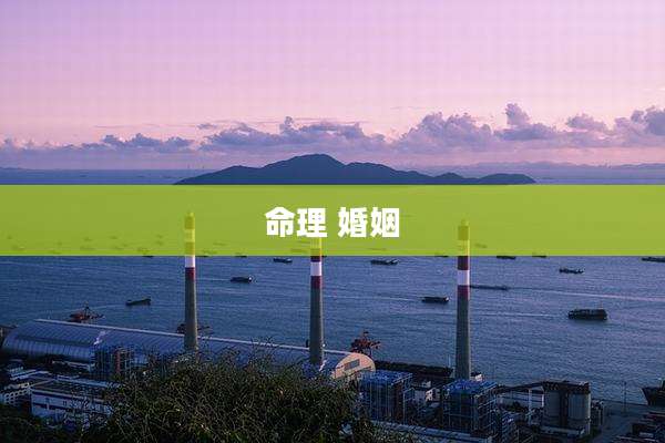 命理 婚姻