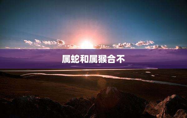 属蛇和属猴合不