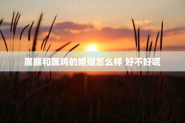 属猴和属鸡的婚姻怎么样 好不好呢
