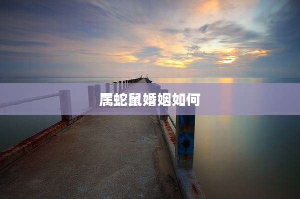 属蛇鼠婚姻如何