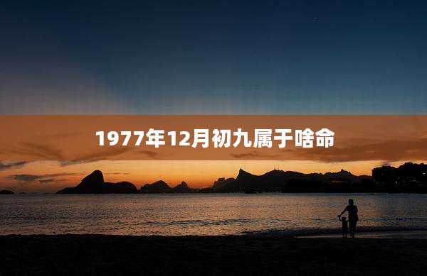 1977年12月初九属于啥命