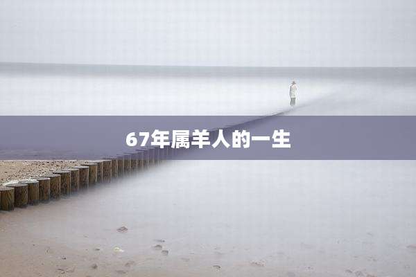 67年属羊人的一生