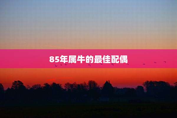 85年属牛的最佳配偶