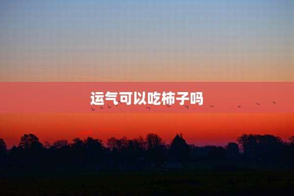 运气可以吃柿子吗