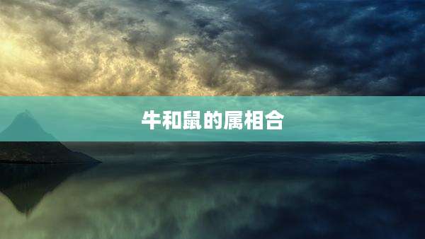 牛和鼠的属相合