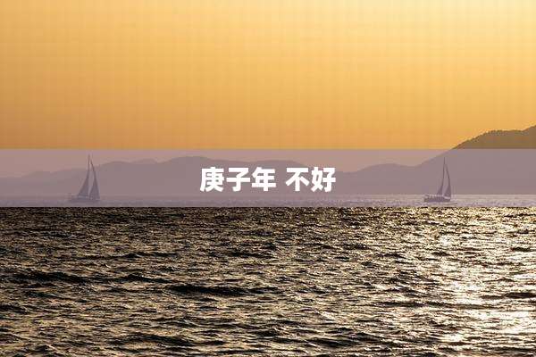 庚子年 不好