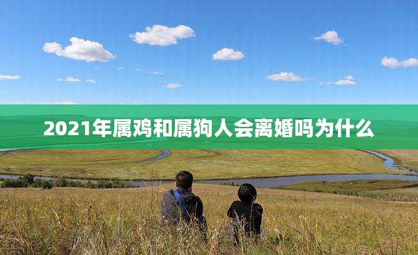 2021年属鸡和属狗人会离婚吗为什么