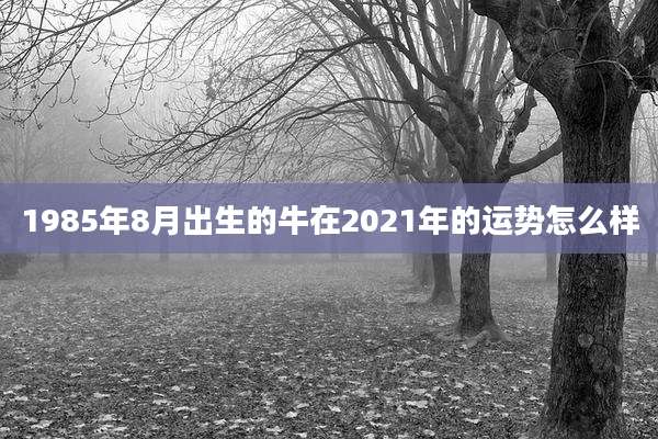 1985年8月出生的牛在2021年的运势怎么样