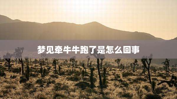梦见牵牛牛跑了是怎么回事