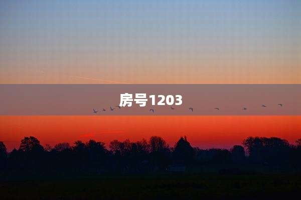 房号1203