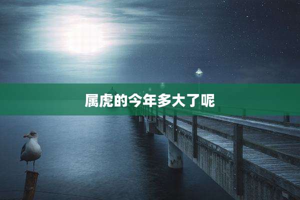 属虎的今年多大了呢