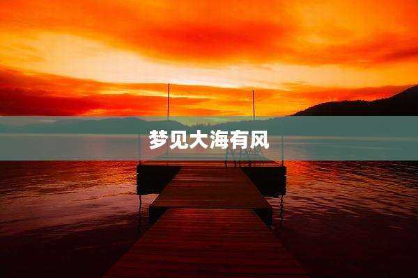 梦见大海有风