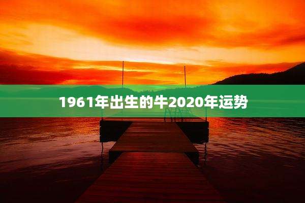 1961年出生的牛2020年运势