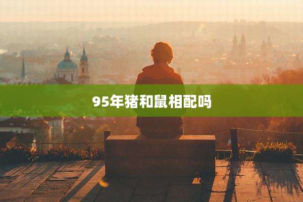 95年猪和鼠相配吗