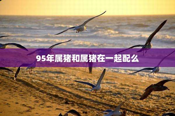 95年属猪和属猪在一起配么