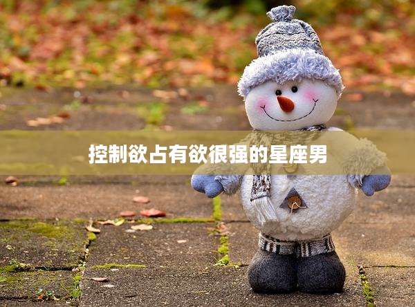 控制欲占有欲很强的星座男