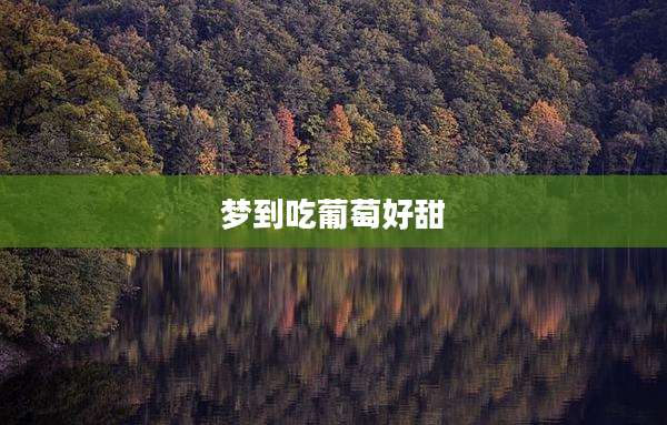 梦到吃葡萄好甜
