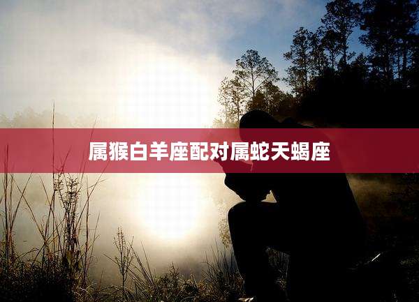 属猴白羊座配对属蛇天蝎座