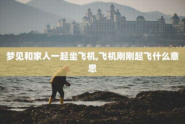 梦见和家人一起坐飞机,飞机刚刚起飞什么意思