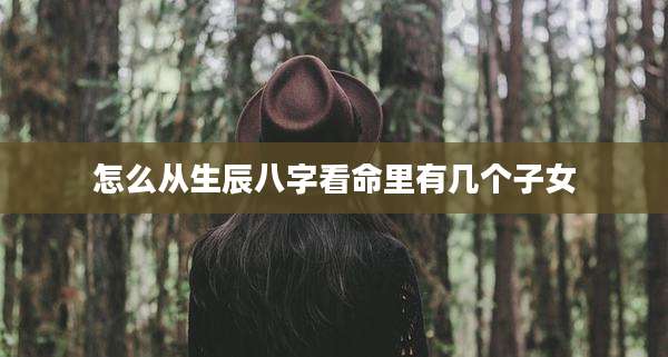 怎么从生辰八字看命里有几个子女