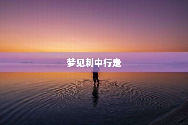梦见剌中行走