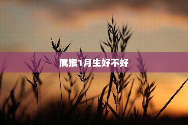 属猴1月生好不好