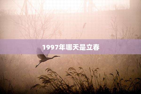 1997年哪天是立春