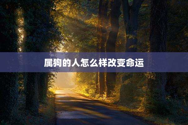 属狗的人怎么样改变命运