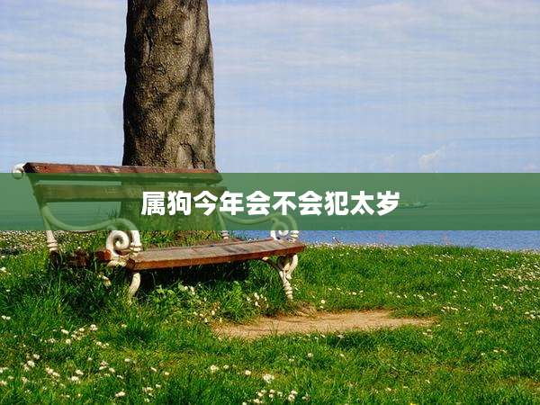 属狗今年会不会犯太岁