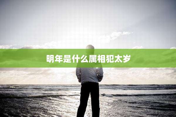 明年是什么属相犯太岁