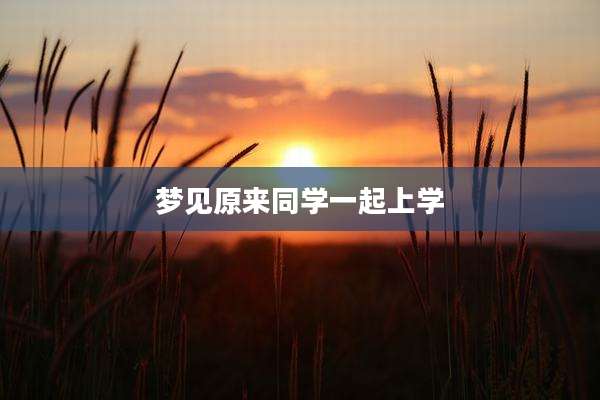梦见原来同学一起上学
