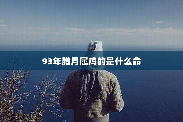 93年腊月属鸡的是什么命