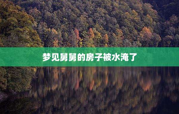 梦见舅舅的房子被水淹了